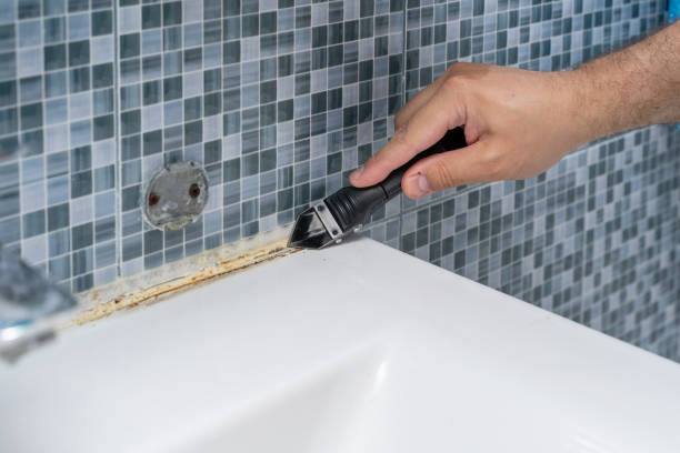 Best Commercial Mold Removal  in Birmingham, AL